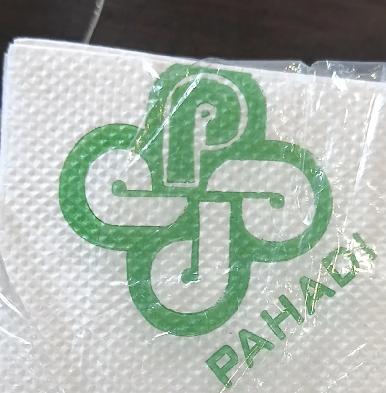 Hotel Pahadi logo napkin
